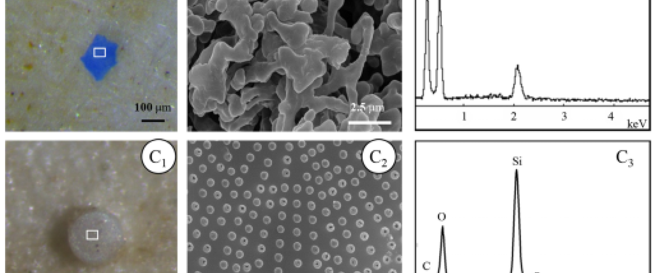 The left photos were taken under microscopes, the middle photographs were taken under SEM for the white box areas of the left ones, and the right photographs were the spectra of EDS for particles in the middle photographs. 